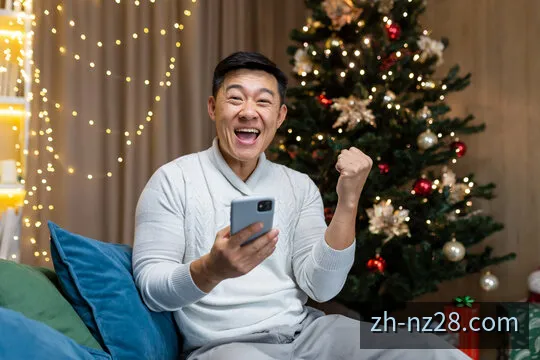 新西兰28玩法规则与算法示意